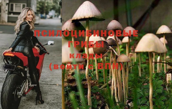 герыч Наволоки