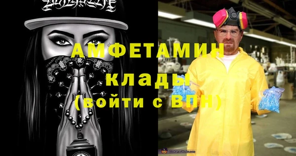 индика Михайловск