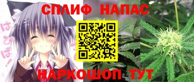 гашик Нальчик
