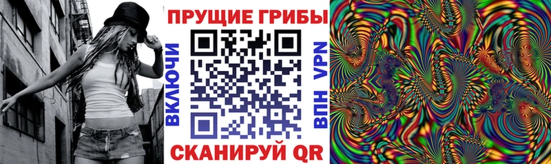 omg ONION  Дубна  Галлюциногенные грибы Cubensis  где можно купить наркотик 
