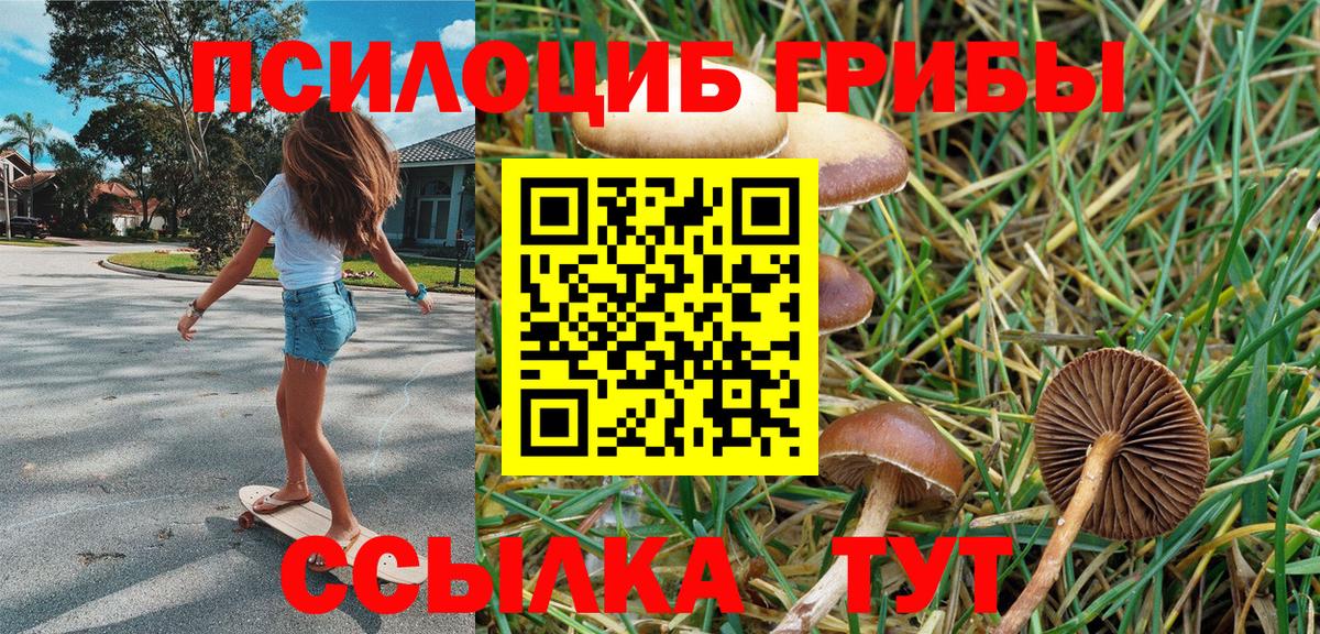 Галлюциногенные грибы мицелий Дубна